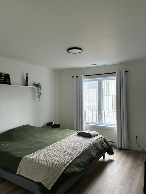 4 1/2 neuf PET FRIENDLY