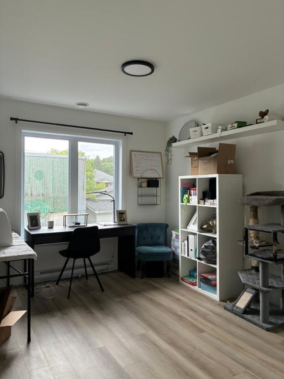 4 1/2 neuf PET FRIENDLY