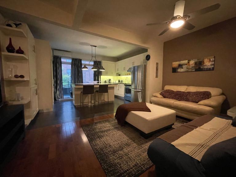 3 1/2 - Montréal (Hochelaga / Maisonneuve) - 1 750 $/mois