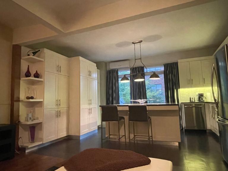 3 1/2 - Montréal (Hochelaga / Maisonneuve) - 1 750 $/mois