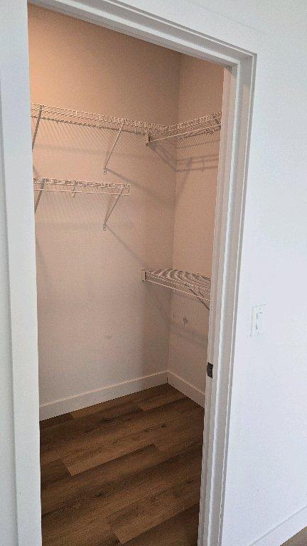 Grand logement neuf avec beaucoup d'inclusions