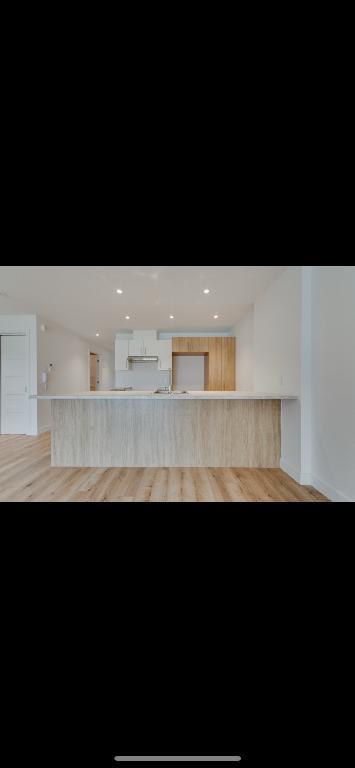 🏡 Grand 4 ½ moderne à louer – Rue Flavie-Poirier – 1 550 $/mois 🏡 🎉 PROMO: 1er loyer gratuit si vous aménager pour le 1er août!
