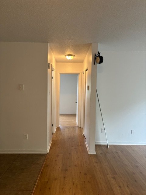 BEAU 4 ½ | MONT-BELLEVUE|AOÛT
