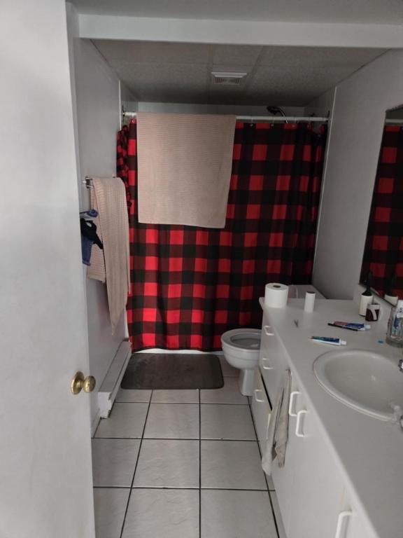 Logement à louer Pintendre Lévis 51/2 demi sous-sol