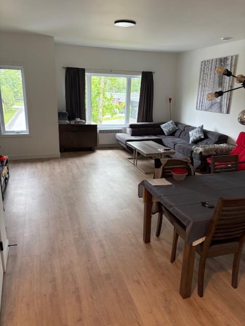 Grand 4 1/2 avec Garage détaché 13 x 18