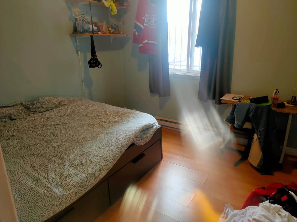Mile-End - Beau 5 1/2 Au Rez De Chaussée