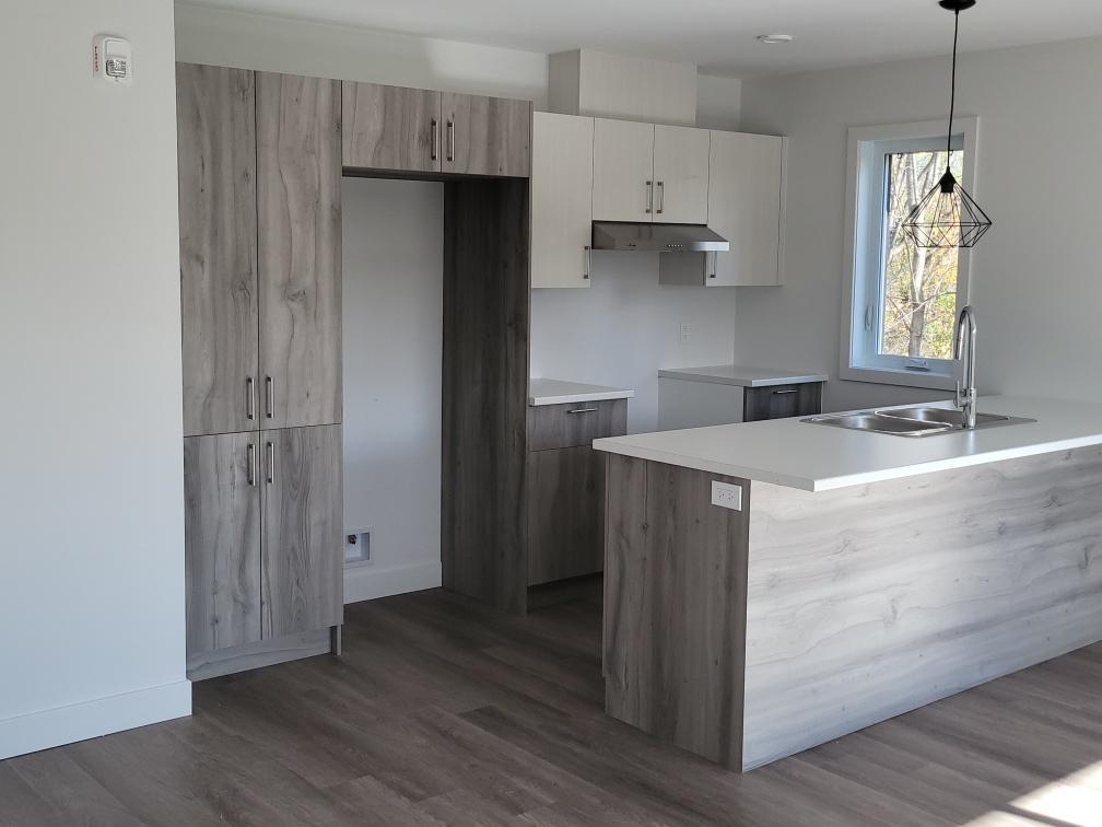 Châteauguay - 4 1/2 disponible maintenant