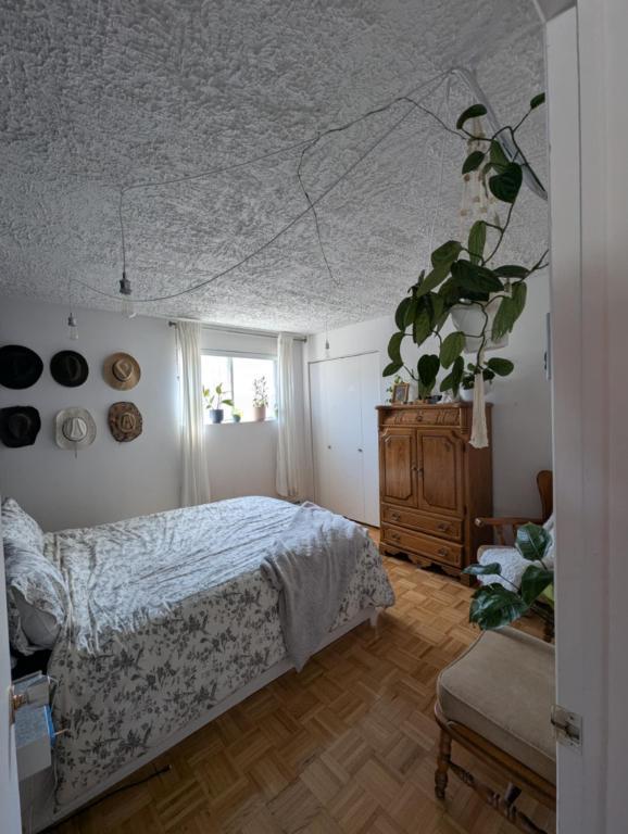 ** 1 mois gratuit ** 4-1/2 + 1 grand local (buanderie et rangement)