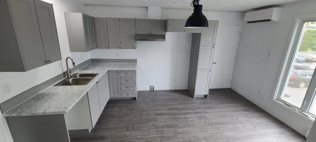 Très beau 4 1/2 - Rénové - LIBRE IMMÉDIATEMENT - Quartier Calme et paisible!