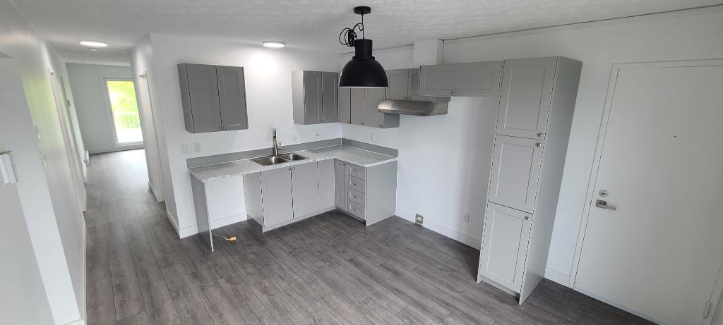 Très beau 4 1/2 - Rénové - LIBRE IMMÉDIATEMENT - Quartier Calme et paisible!