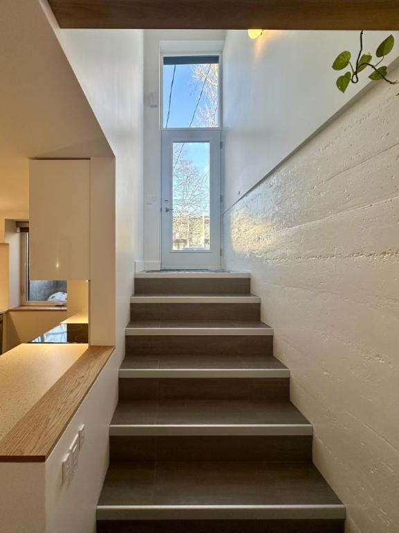3 1/2 - Montréal (La Petite-Patrie) - 1 795 $/mois