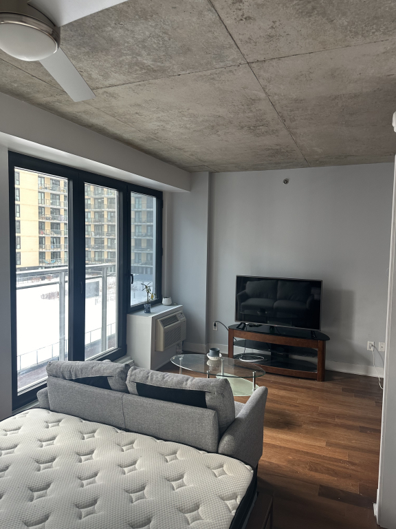 Charmant Studio Meublé à Griffintown