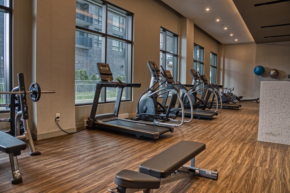 Promotions en cours | Condos Luxueux 3 1/2 à Louer | Ville Mont-Royal