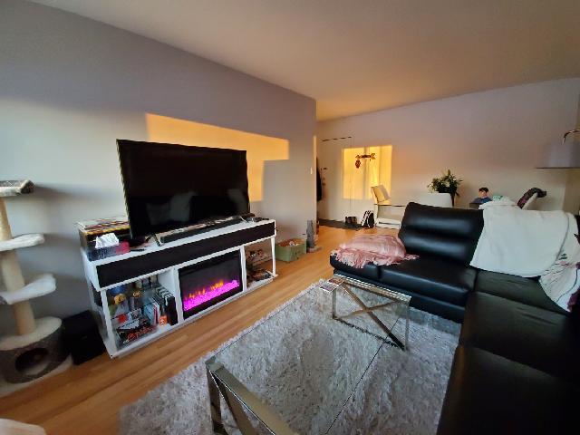 Appartement a louer