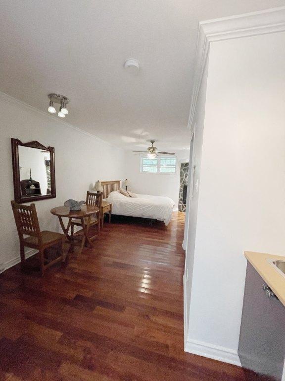 Studio meublé et tout inclus