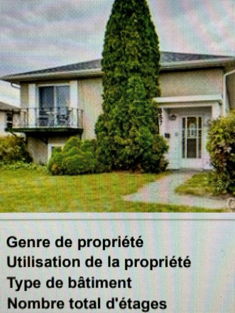 Bel Appart 4 1/2 à Louer 387 Rue Mondoux