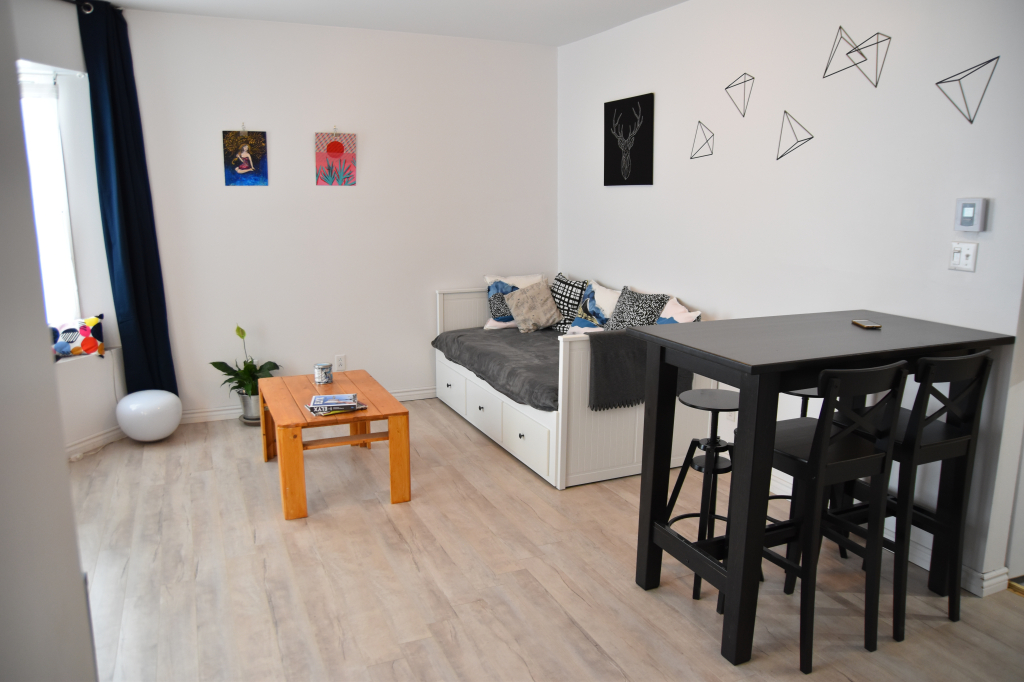 3 ½ Meublé, Propre & Lumineux