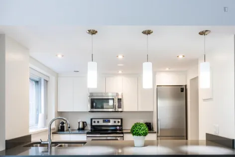 1 room of 58m² in Montreal