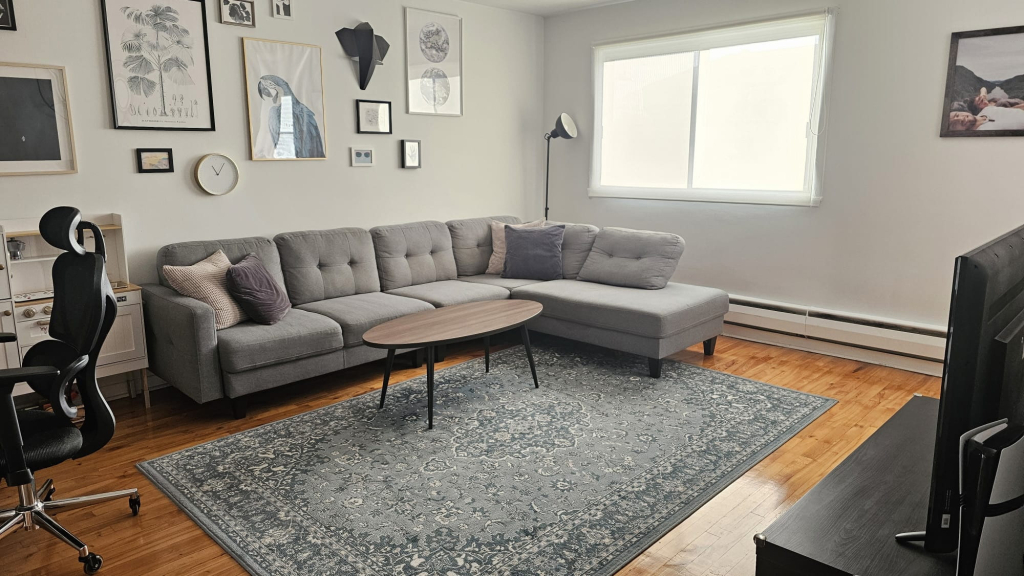 Apartment 5 1/2