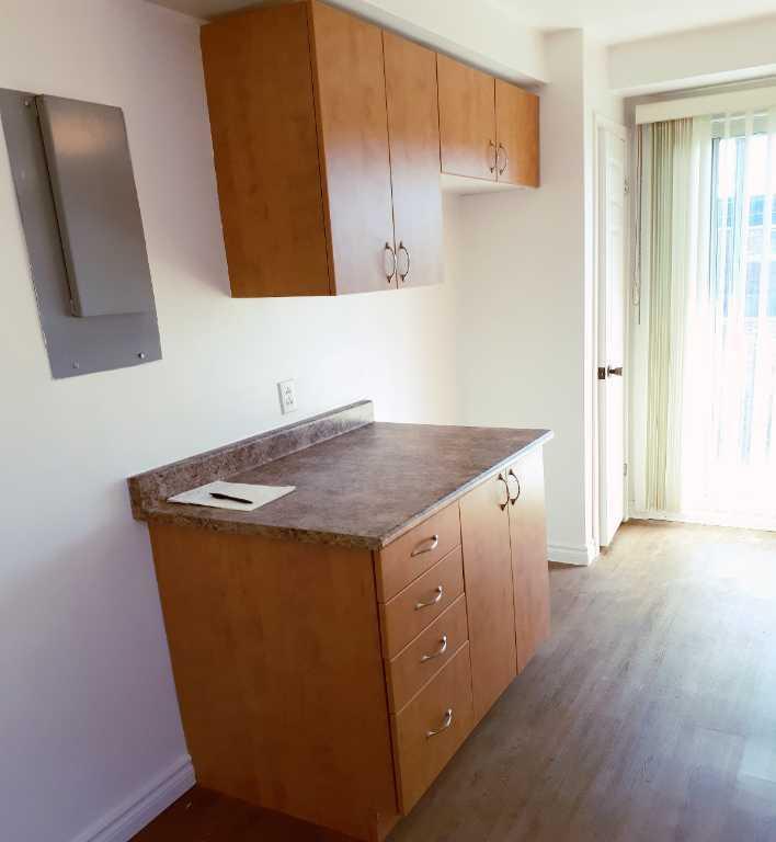 Nouveau-Rosemont Grand 4 1/2 rénové haut triplex
