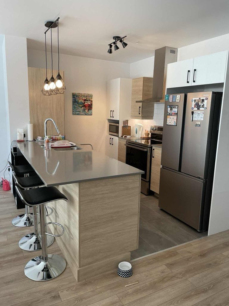 Grand Condo 4 1/2 Luxueux Avec Garage