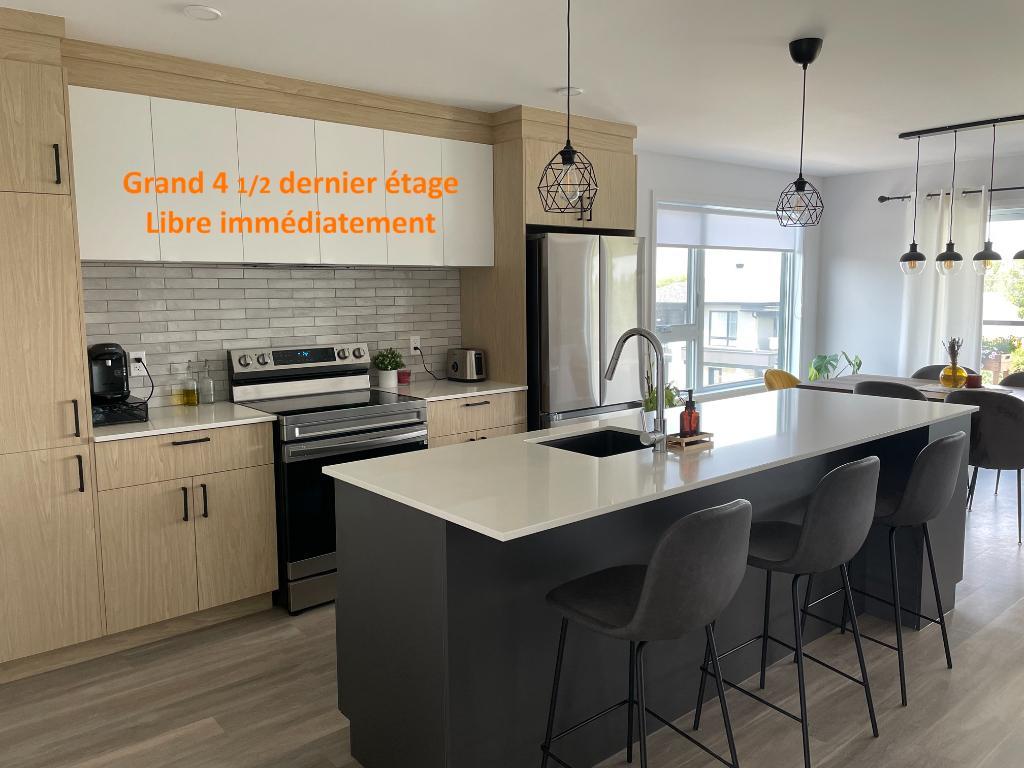 Grand 4 et demi a St Hyacinthe