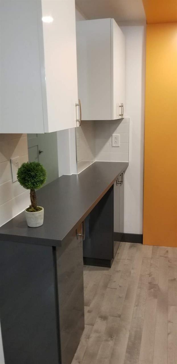 GHETTO MCGILL- APPARTEMENT ENTIEREMENT RÉNOVÉ 2025- 1 CH FERMÉE