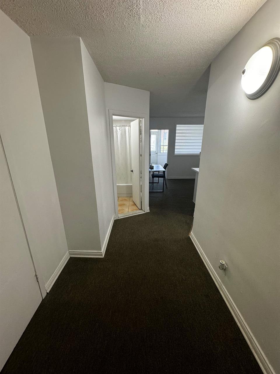 GHETTO MCGILL- 3 1/2 ENSOLLEILLÉ - 1 CHAMBRE FERMÉE