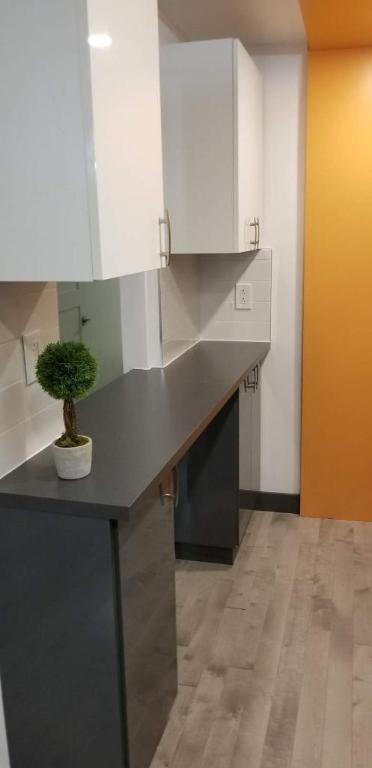 GHETTO MCGILL- 3 ½ RÉNOVÉ & MEUBLÉ – 1 CHAMBRE FERMÉE