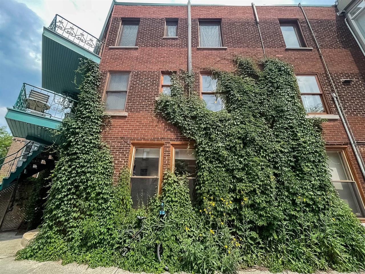 Appartement Montréal (Le Plateau-Mont-Royal) À Louer