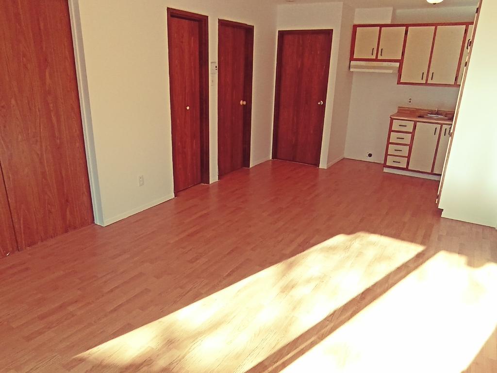 Très beau 4½, disponible dès maintenant