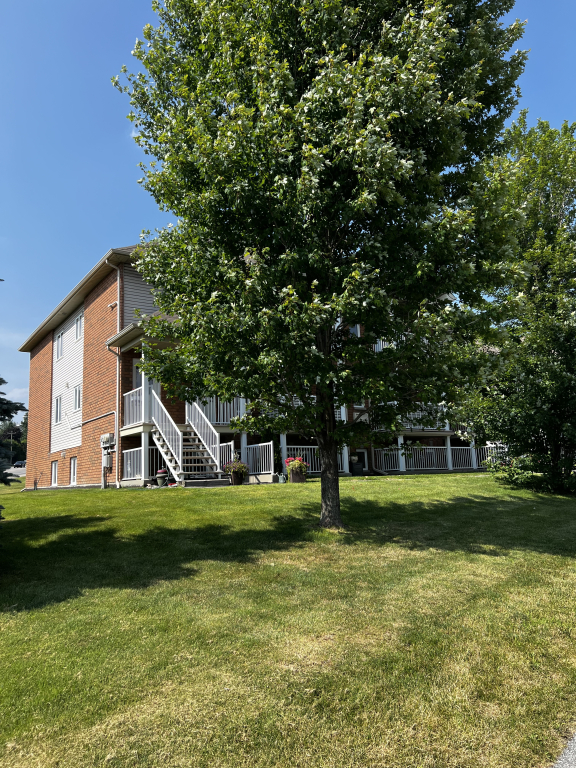 Condo De Luxe 1250 PI CARRÉ