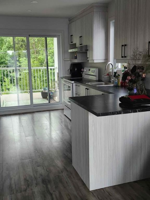 4 1/2 moderne à louer – Brownsburg-Chatham