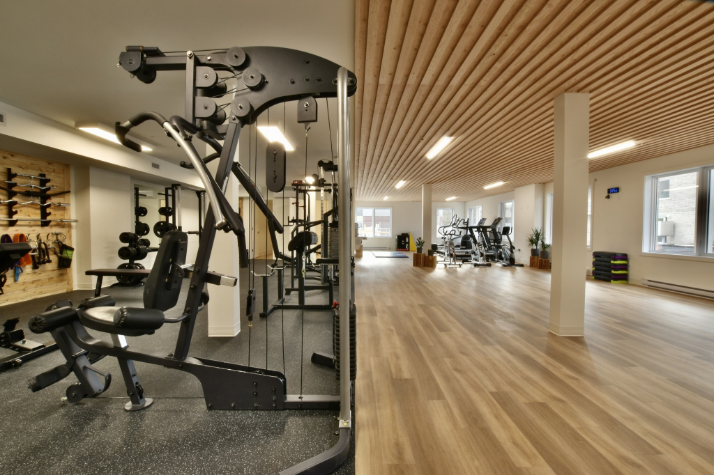 3 ½ à Louer, Gym Inclus!
