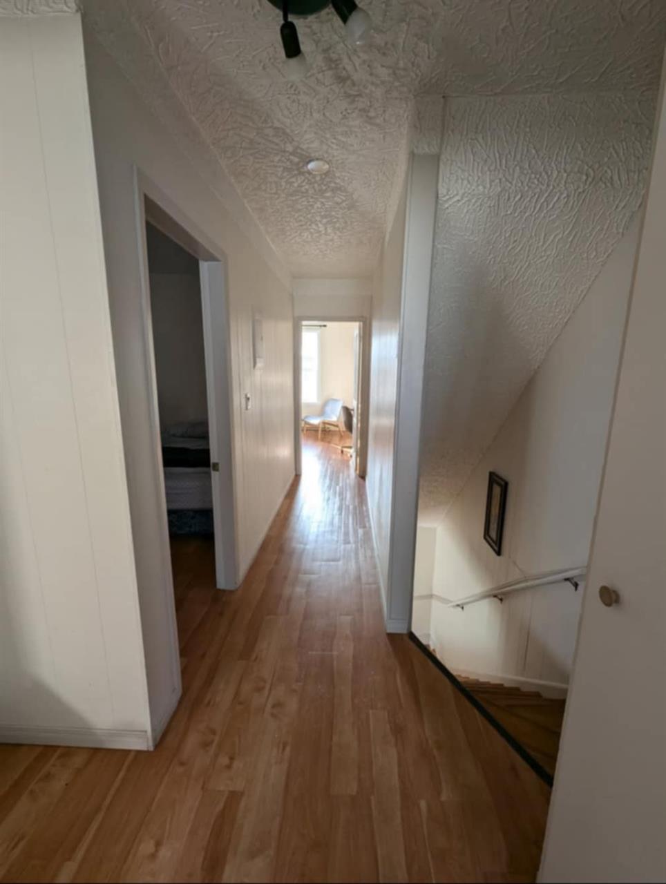 Recherche D'un / Une Collocataire