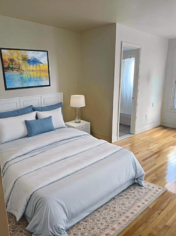 Studio - Montréal - $1,095 /mo