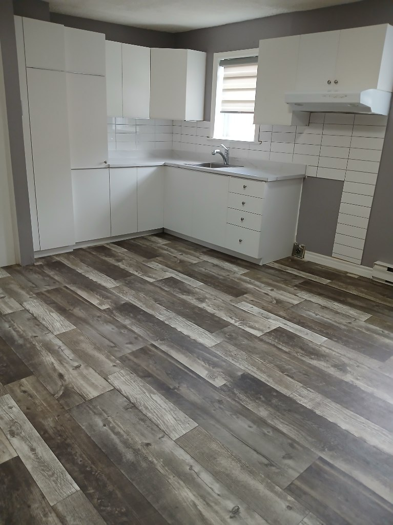 Logement 5.5, 3 Chambres A Louer