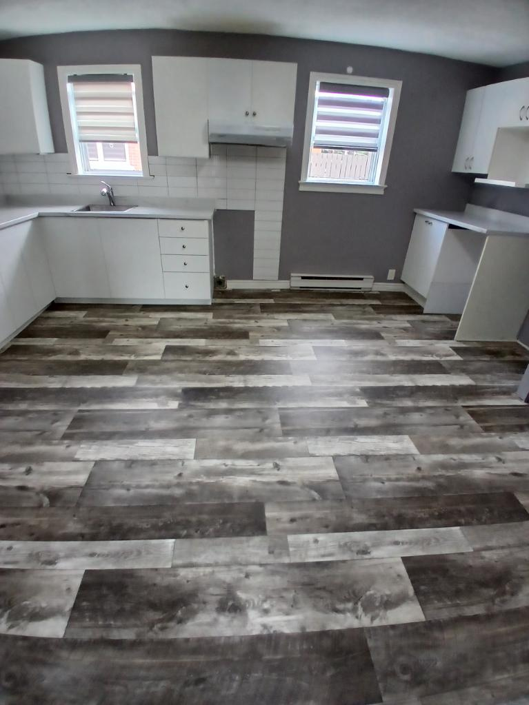 Logement 5.5, 3 Chambres A Louer