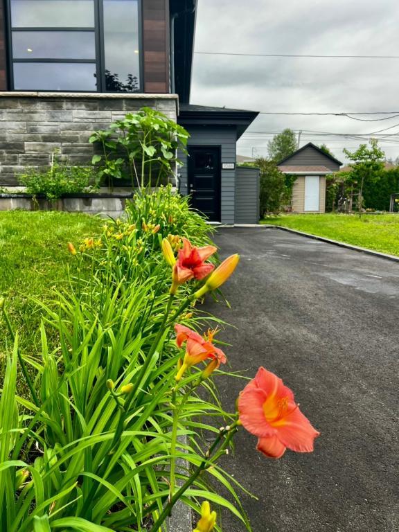 🏡✨ 3 ½ de luxe à louer dans une maison unifamiliale- libre 1er juillet ou avant – Quartier Montagne des Roches, Charlesbourg ✨🏡