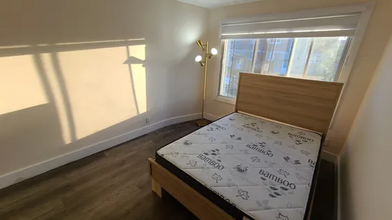 1 room of 26m² in Montreal