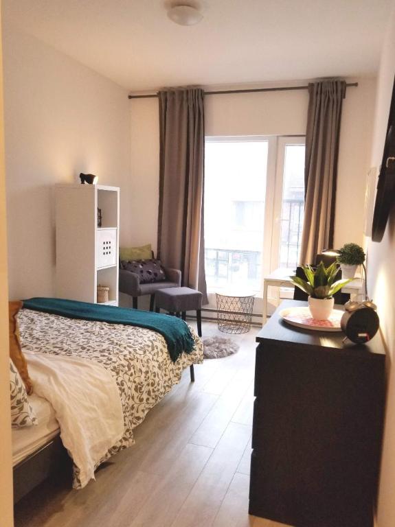 Studio - Montréal - $1,135 /mo