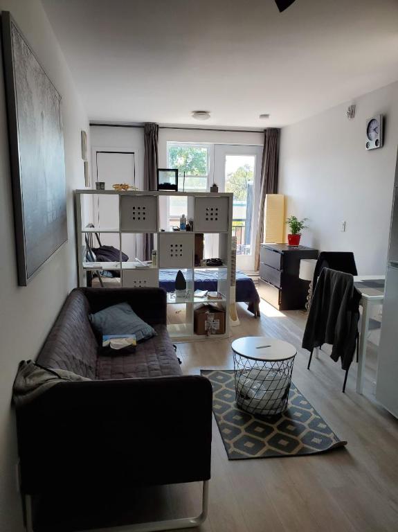Studio - Montréal - $1,195 /mo