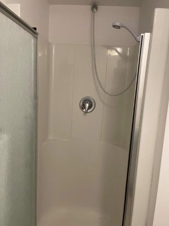 Studio - Montréal - $1,195 /mo