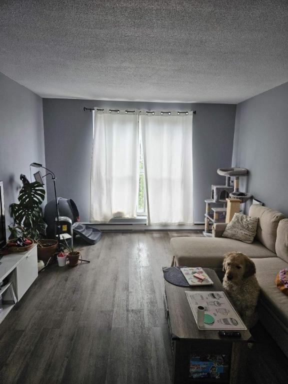 1 CH - 1 SDB - Gatineau - $930 /mo