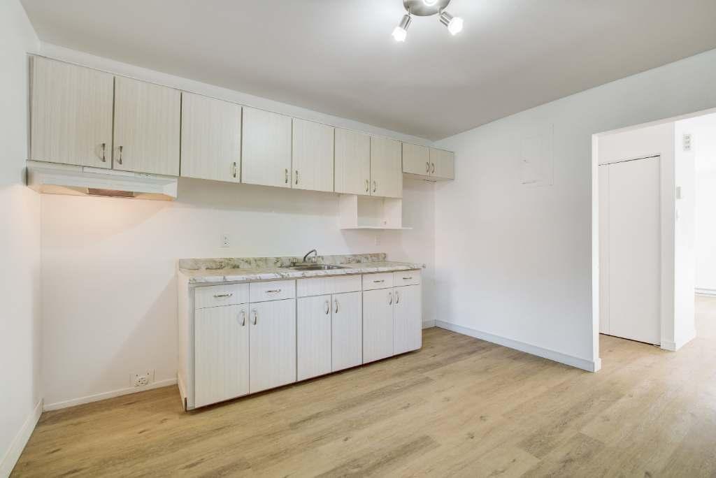 3 1/2 ou 4 1/2 rénovés, Ile-Perrot, Dispo maintenant ! 1100$ ou 1350$