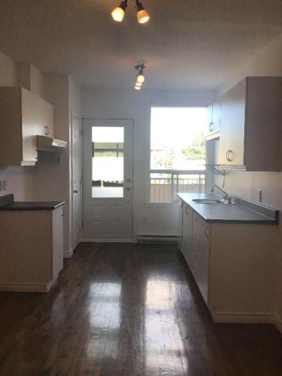 Logement 4 1/2 Rosemont Petite Patrie