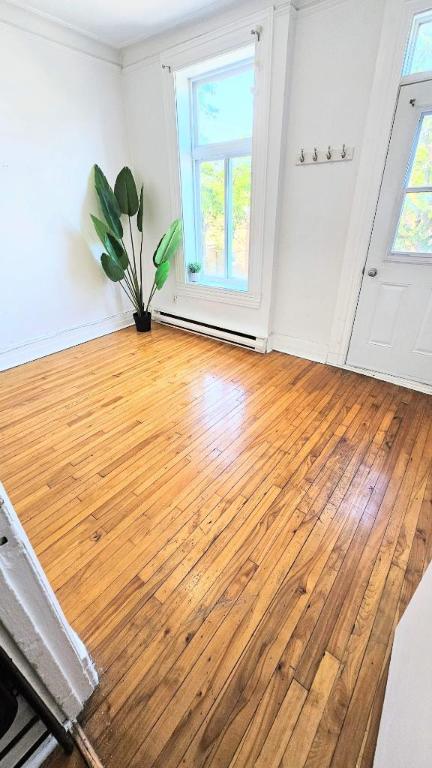 1 CH - 1 SDB - Montréal - $1,250 /mo