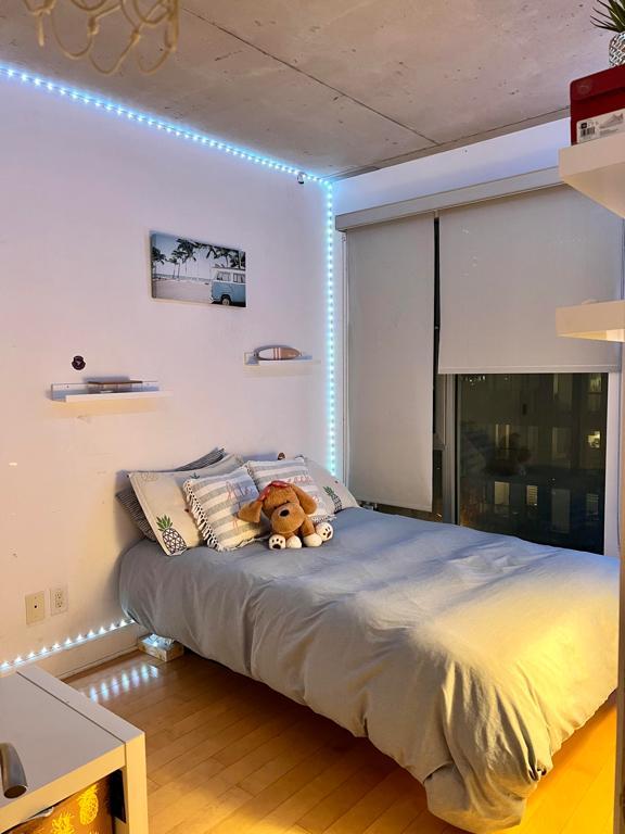 Appartement 3 CHB - Transfert de Bail à partir du 1er Octobre! Griffintown / Lease Transfert 3 Bdr Close to downtown
