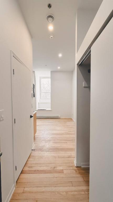 1 CH - 1 SDB - Montréal - $1,195 /mo