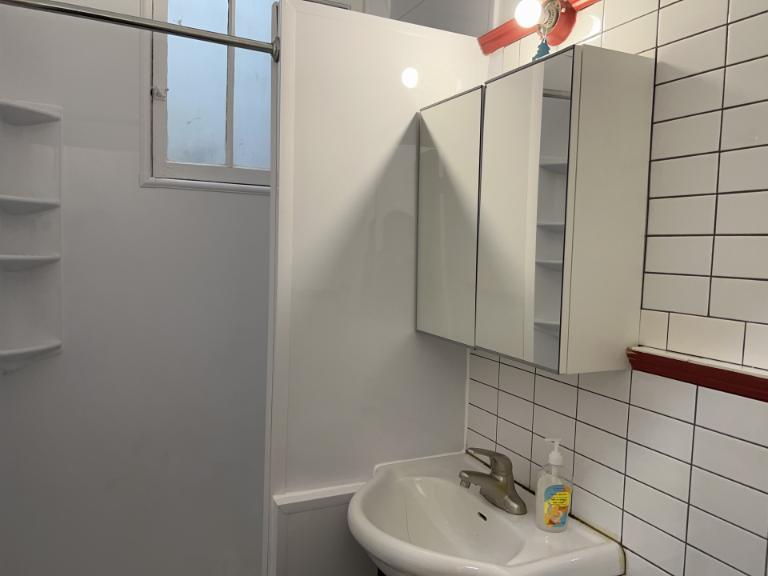 4 1/2 - Montréal (Hochelaga / Maisonneuve) - 1 350 $/mois